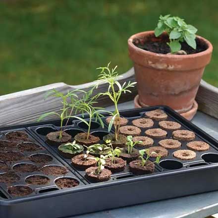 Gardening Accessories