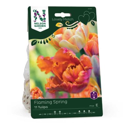 Lovely Match 'Foxy Foxtrot', 'Orange Princess', 'Amazing Parrot'