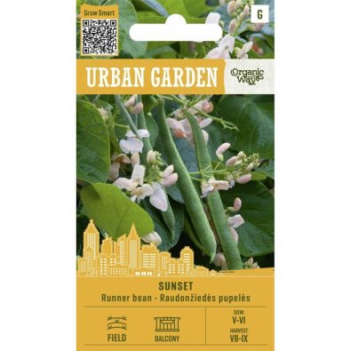 Climbing Bean ’Sunset’