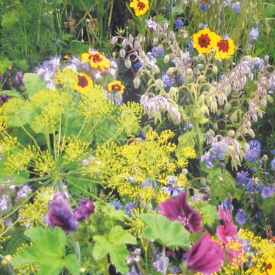 Flowers för bin och fjärilar