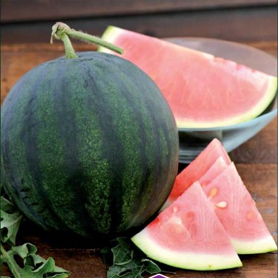 Watermelon 'Sugar Baby'
