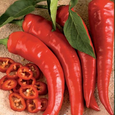 Chili Pepper 'Cayenne Long Slim'