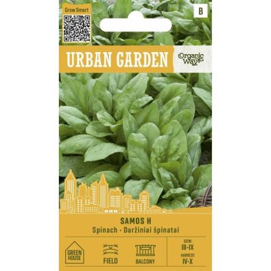 Spinach ’Samos H’