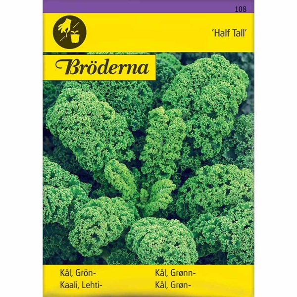 Kale 'Half Tall'