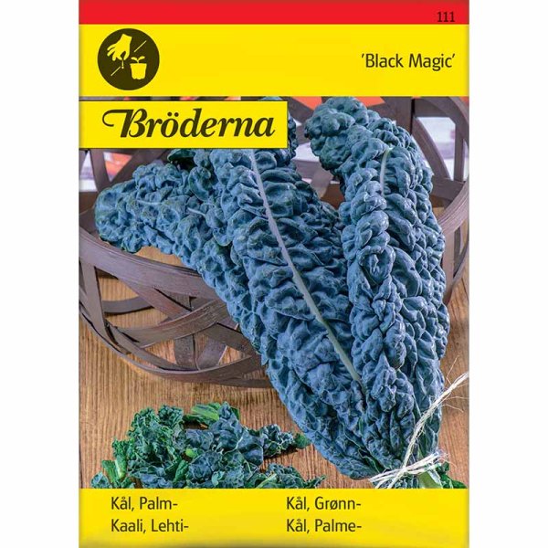 Black Kale 'Black Magic'