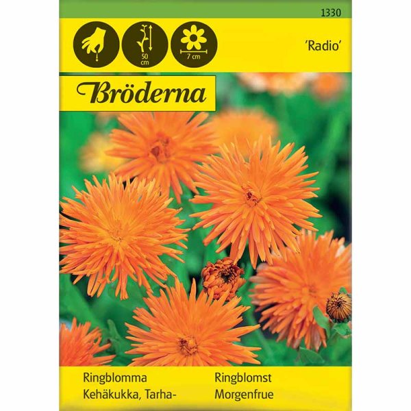 Pot Marigold 'Radio'