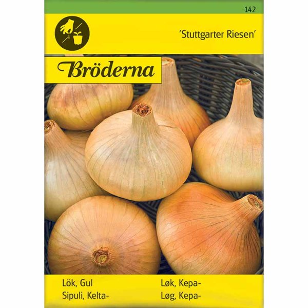 Yellow Onion 'Stuttgarter Riesen'