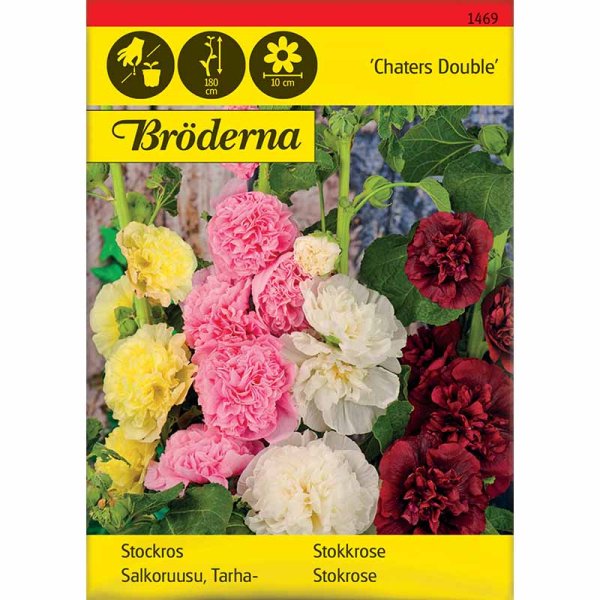 Hollyhock 'Charters'