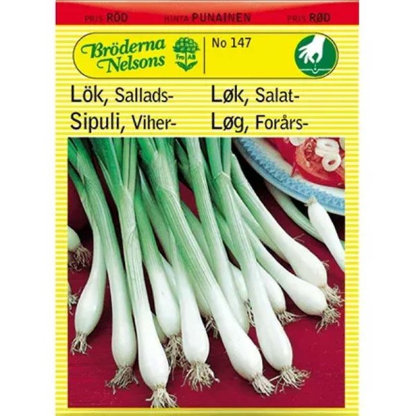Spring Onion 'White Lisbon'