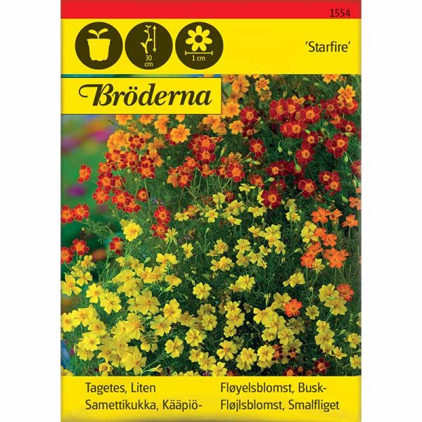 Dwarf Marigold 'Starfire' Mixed