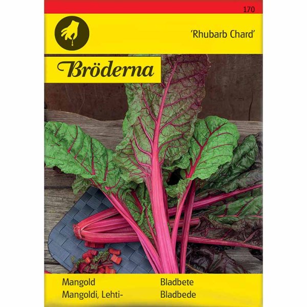 Swiss Chard 'Rhubarb Chard'