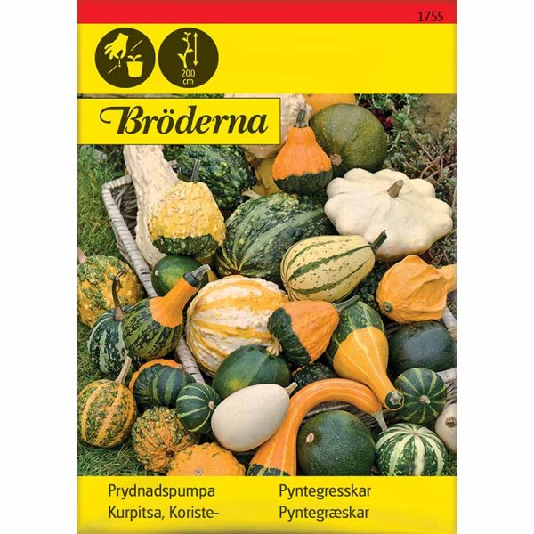 Ornamental Gourd Mix