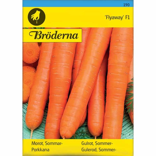 Carrot 'Flyaway' F1