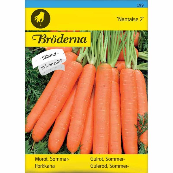 Summer Carrot 'Nantaise 2'