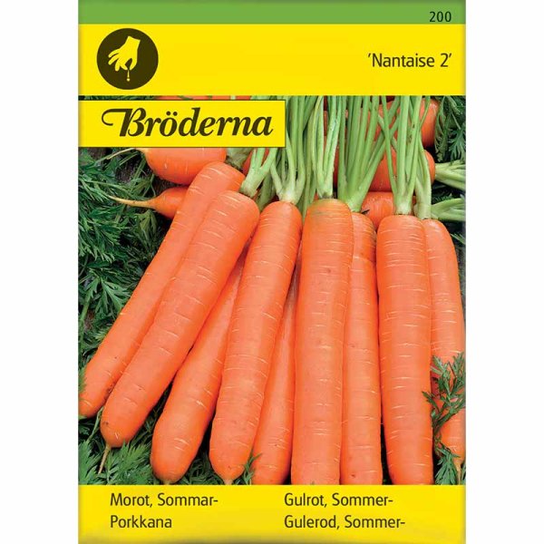 Summer Carrot 'Nantaise 2'