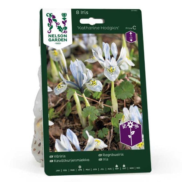 Spring Iris 'Katharine Hodgkin'