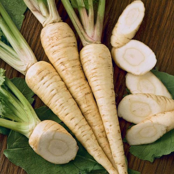 Parsnip 'White Gem'