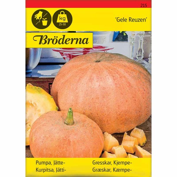 Giant Pumpkin 'Gele Reuzen'