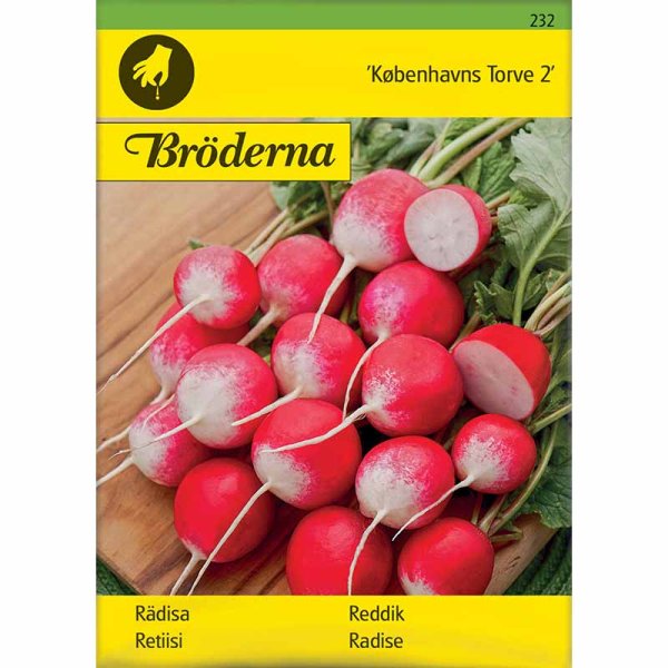 Radish 'Københavns Torve 2'
