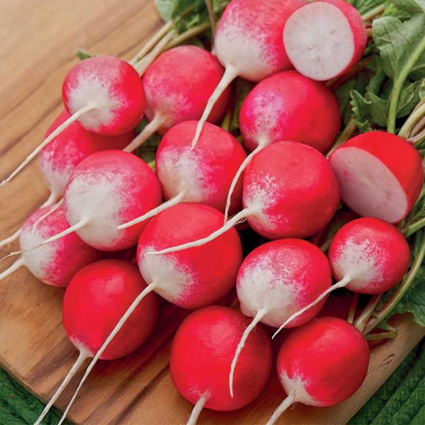 Radish 'Københavns Torve 2'