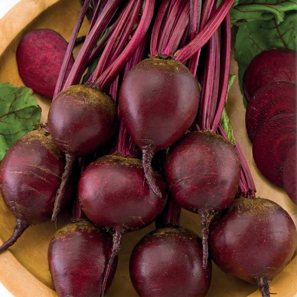 Beetroot 'Detroit 2'
