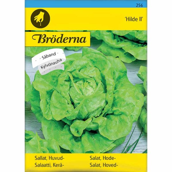 Head Lettuce 'Hilde II' Seed Tape