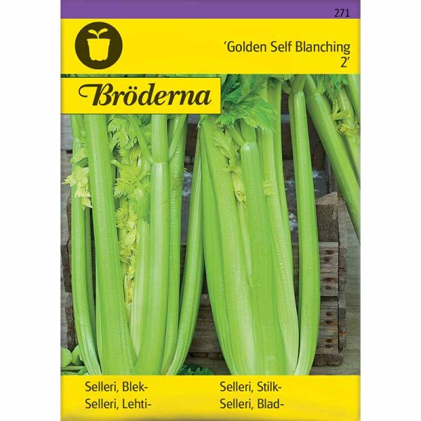 Celery 'Golden Self Blanching 2'