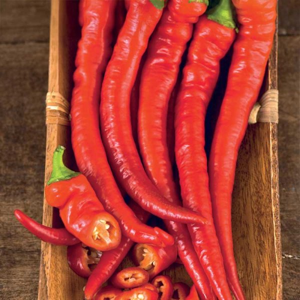 Chili 'Cayenne long slim'
