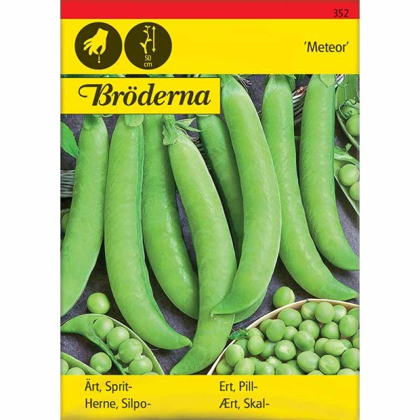 Shelling Pea 'Meteor'