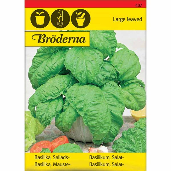 Basil 'Large leaved'