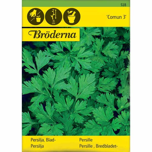 Leaf Parsley 'Comun 3'