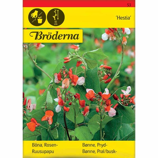 Runner bean 'Hestia'