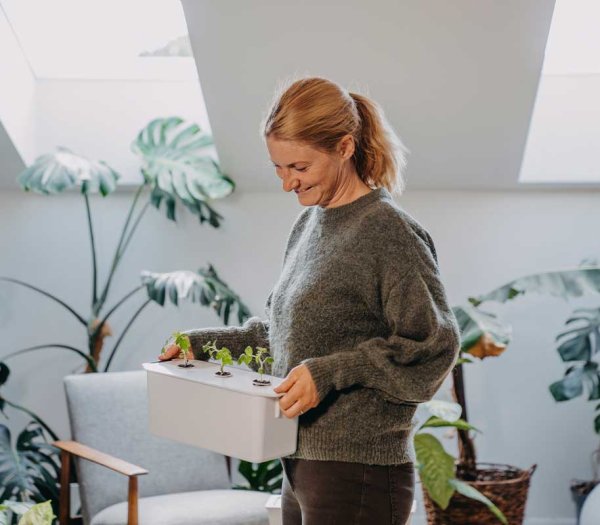 Hydroponic system Harvy 3 white