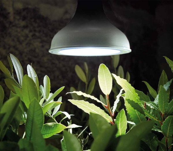 LED Grow Light Bulb E27