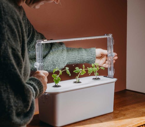 LED Grow Light Holder for Harvy3