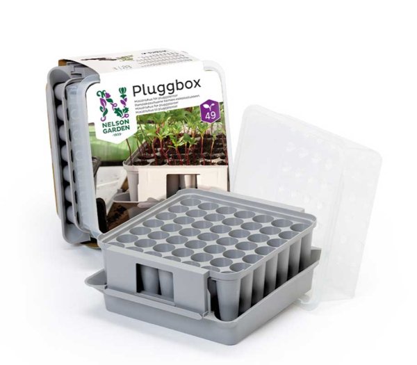 Plug Box