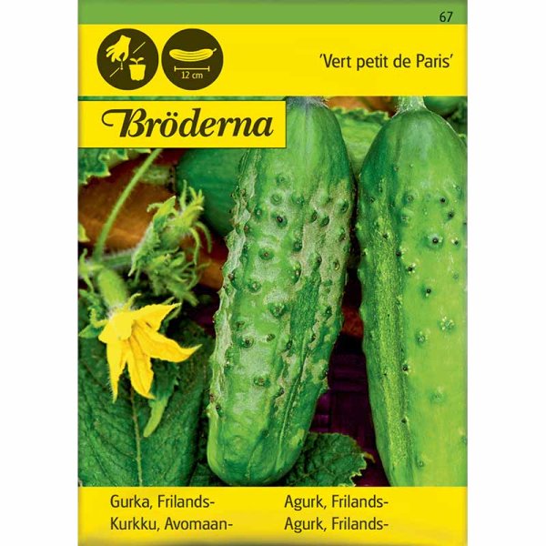 Outdoor Cucumber 'Vert petit de Paris'