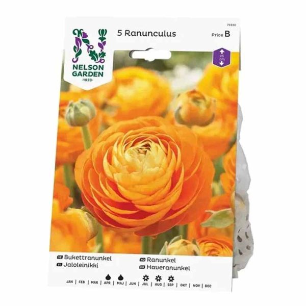 Bouquet Ranunculus Orange