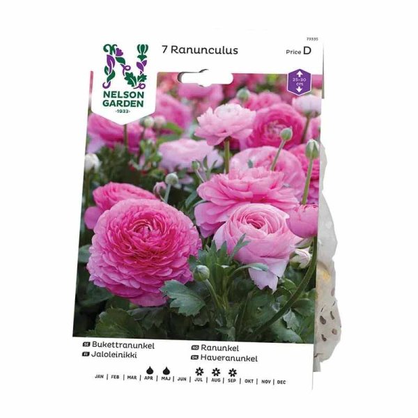 Bouquet Ranunculus Pink