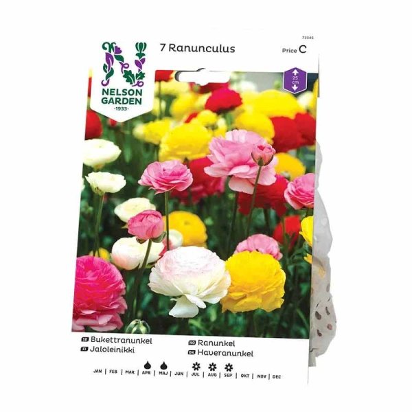 Bouquet Ranunculus Mixed Colors