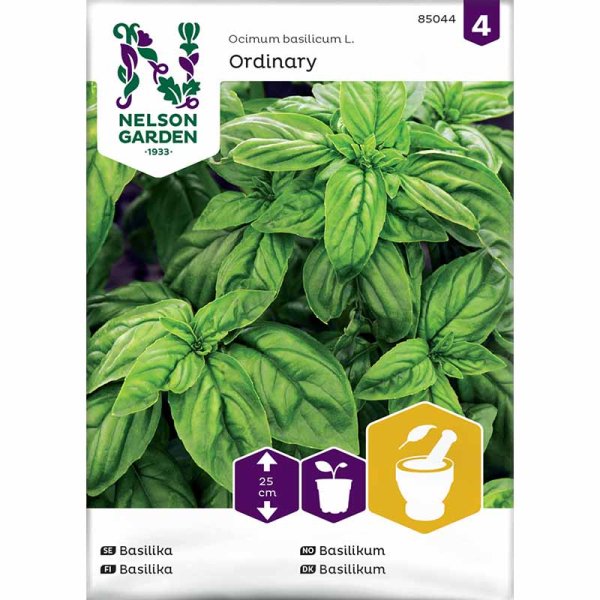 Basil , Grön Ordinary