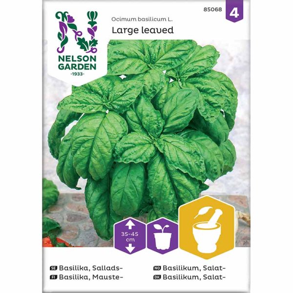 Lettuce Leaf Basil 'Large leaved'