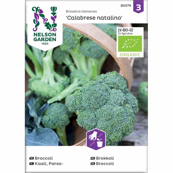 Broccoli 'Calabrese natalino'