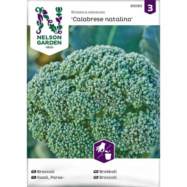 Broccoli 'Calabrese natalino'