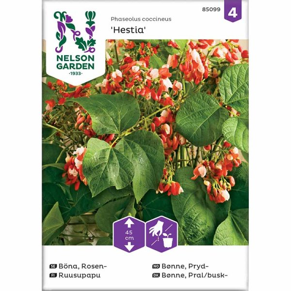 Runner bean 'Hestia'