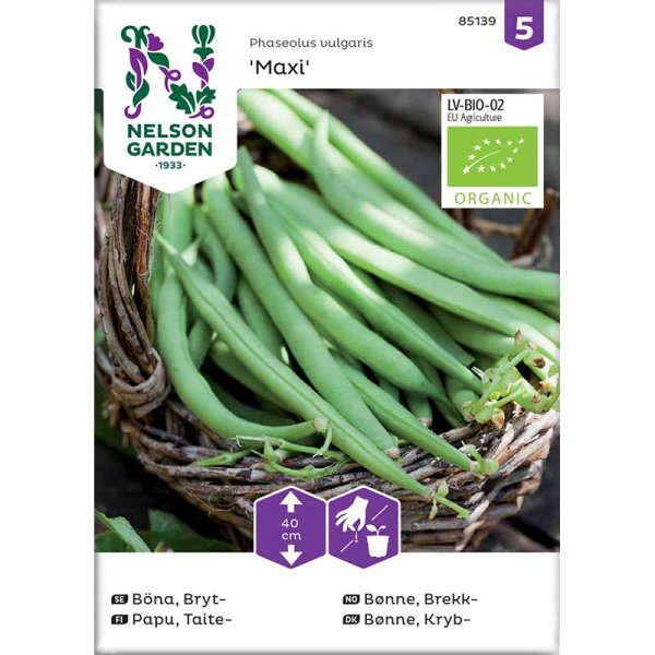 Snap Bean 'Maxi'