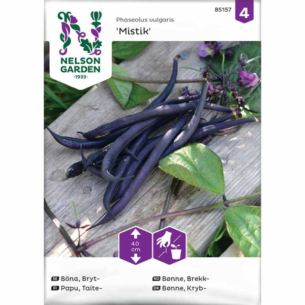 Bush Bean 'Mistik'