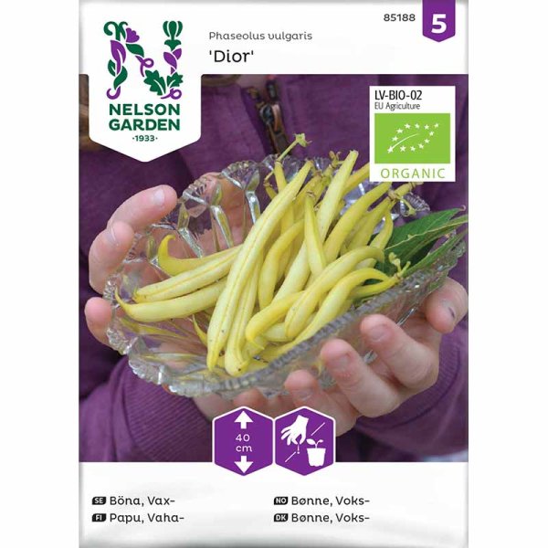 Wax bean 'Dior' organic