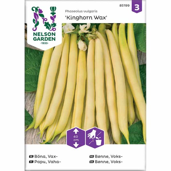 Wax bean 'Kinghorn Wax'