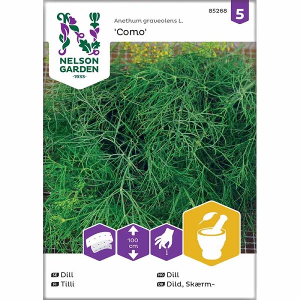 Dill 'Como' Seed Tape